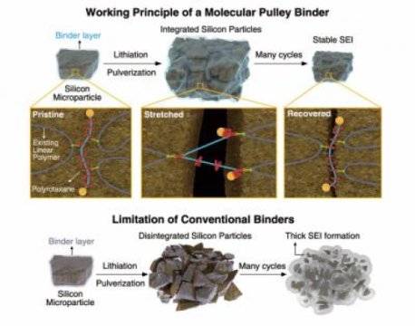 锂电池性能突破：分子“滑轮”粘合剂