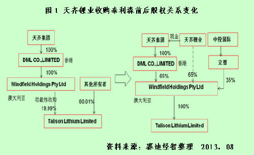 碳酸锂资源并购热潮下的冷思考 (1)